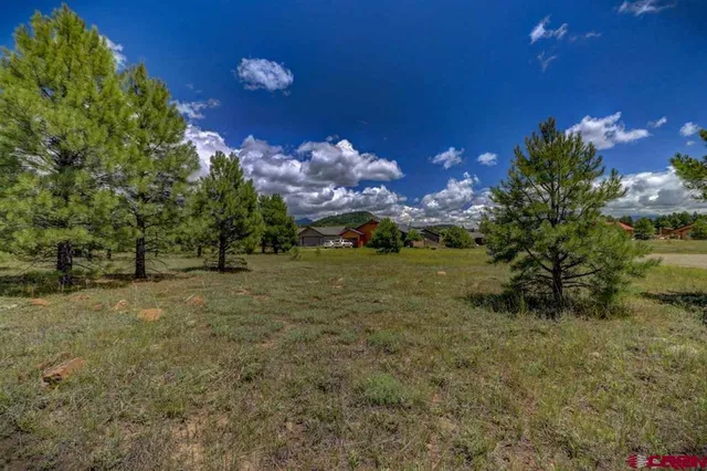 a view of a yard with a tree