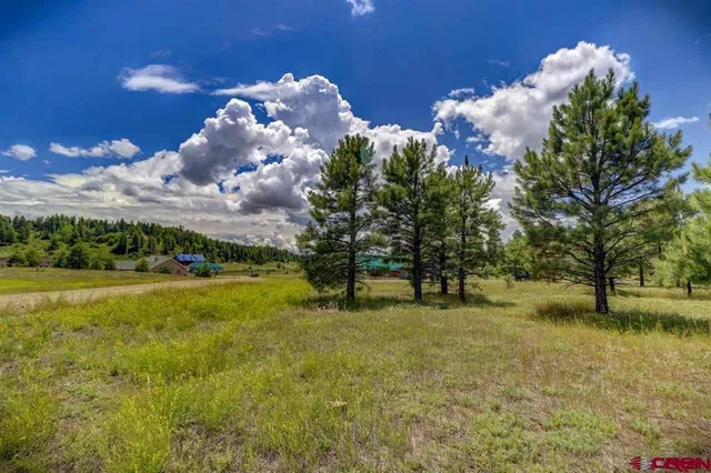 a view of a lake with a building in the background