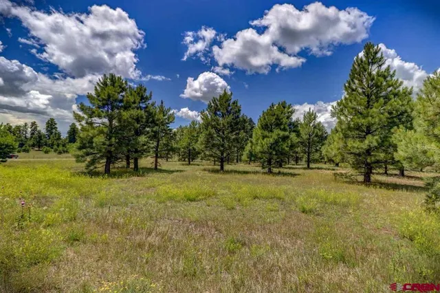 a view of a yard with swimming pool and trees in the background