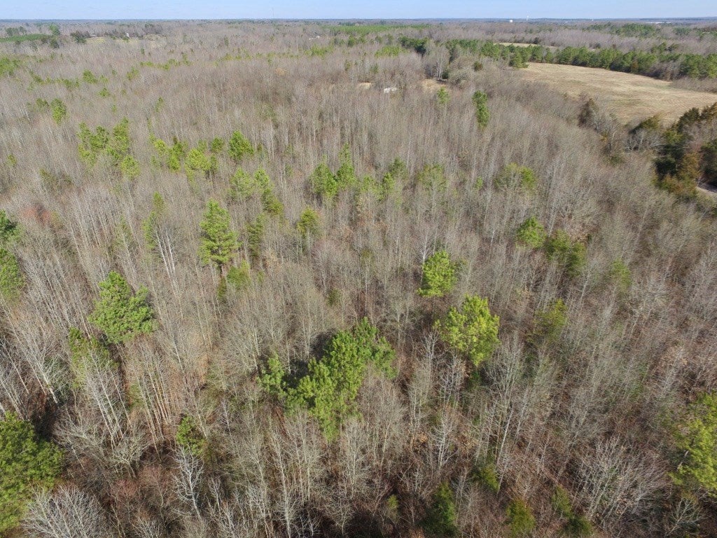 0 Taylor Ferry Road Boydton, VA 23917 - Photo 35 of 36 Gallery Image 35