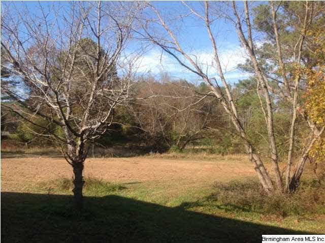 324 McCoy Road Ragland, AL 35131 - Photo 2 of 14