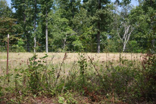 0 Bill Brake Road Dover, TN 37058 - Photo 1 of 3 Gallery Image 1