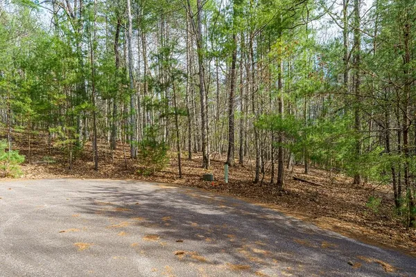 $40,000 | Lot 6 Hampton Road, Morganton, GA 30560