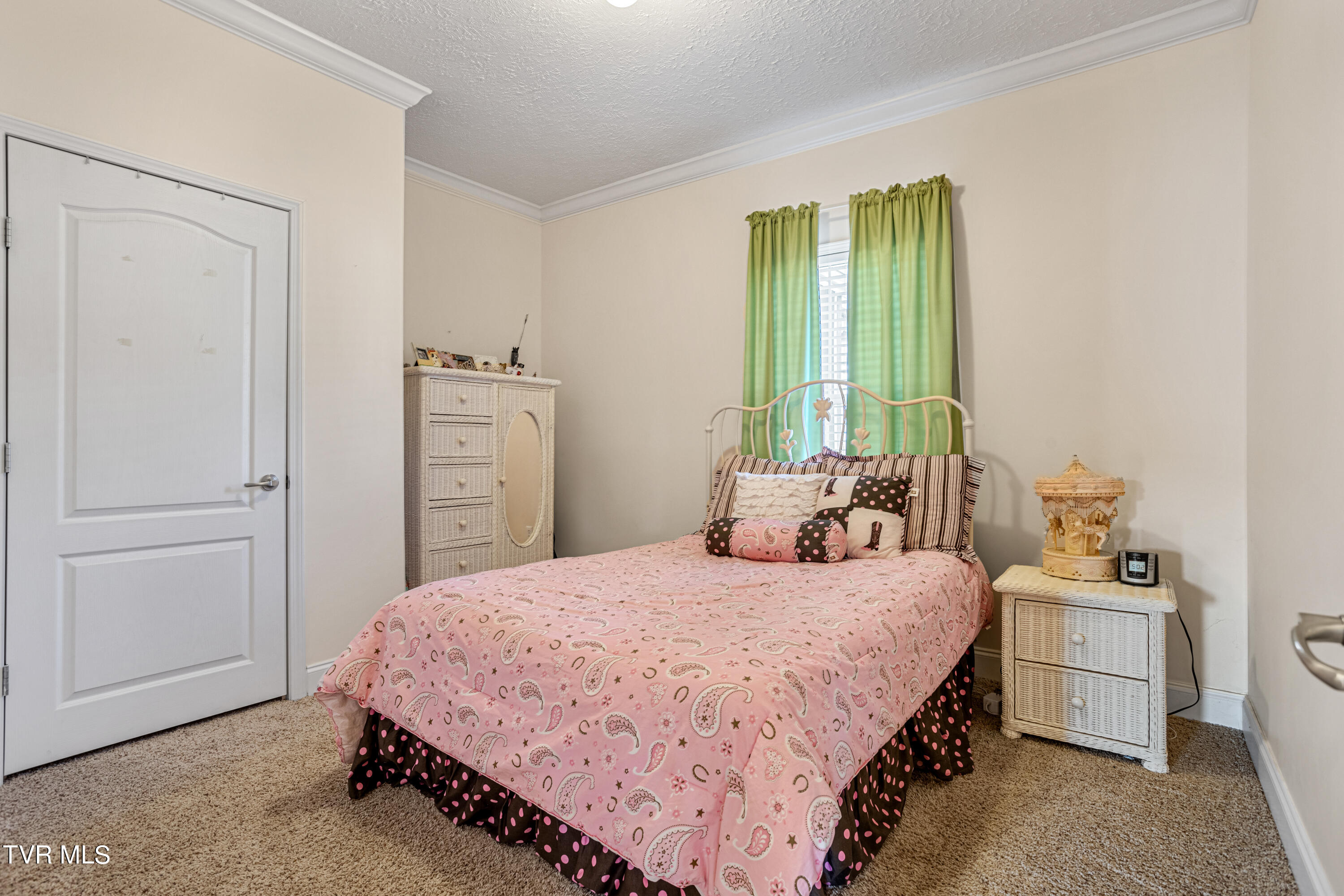 388 Drake Road Bristol, TN 37620 - Photo 28 of 42 177A2524-HDR_1