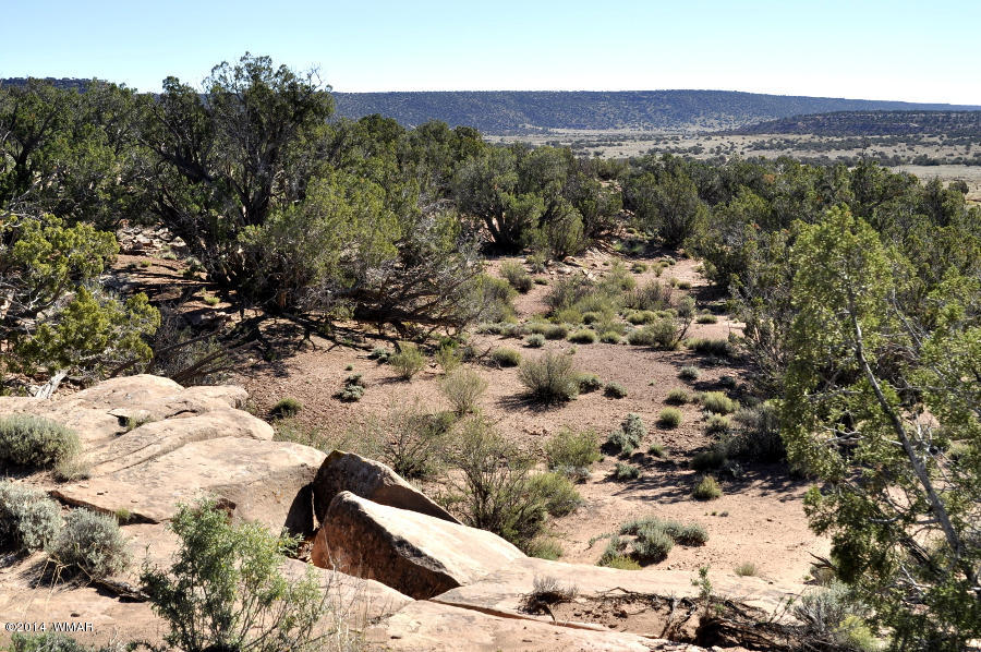 4064 Crazy 8 Road Snowflake, AZ 85937 - Photo 1 of 19 Gallery Image 1