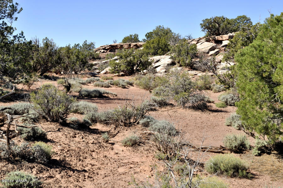 4064 Crazy 8 Road Snowflake, AZ 85937 - Photo 11 of 19 Gallery Image 11