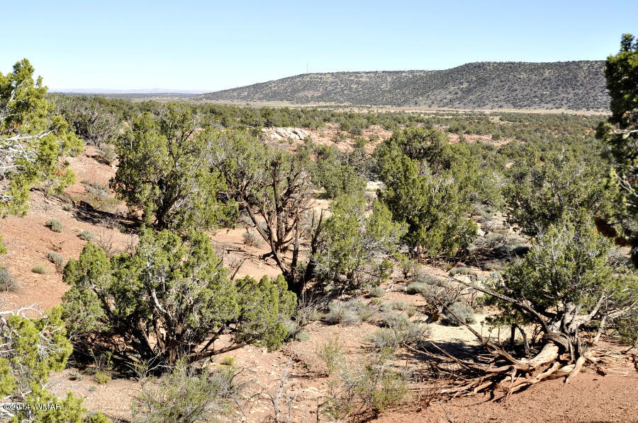 4064 Crazy 8 Road Snowflake, AZ 85937 - Photo 12 of 19 Gallery Image 12