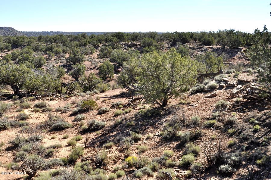 4064 Crazy 8 Road Snowflake, AZ 85937 - Photo 13 of 19 Gallery Image 13