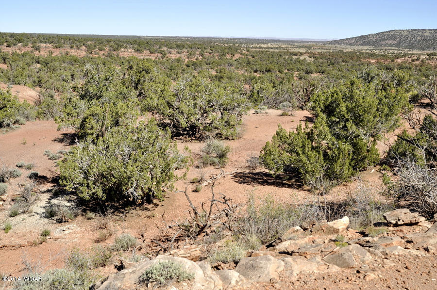 4064 Crazy 8 Road Snowflake, AZ 85937 - Photo 14 of 19 Gallery Image 14