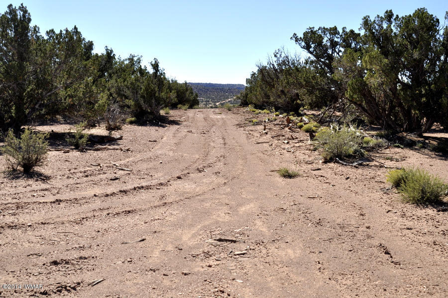 4064 Crazy 8 Road Snowflake, AZ 85937 - Photo 15 of 19 Gallery Image 15