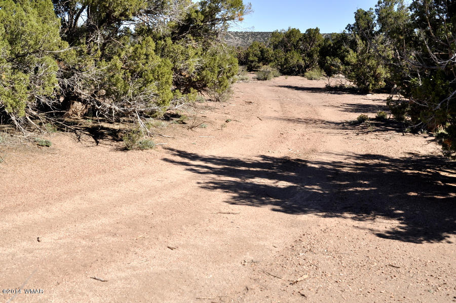 4064 Crazy 8 Road Snowflake, AZ 85937 - Photo 16 of 19 Gallery Image 16