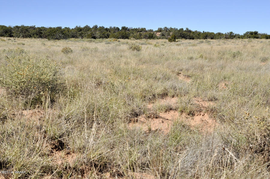 4064 Crazy 8 Road Snowflake, AZ 85937 - Photo 17 of 19 Gallery Image 17