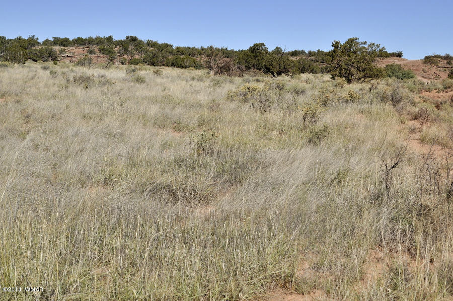 4064 Crazy 8 Road Snowflake, AZ 85937 - Photo 18 of 19 Gallery Image 18
