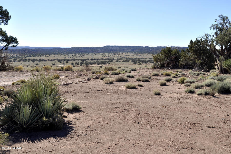 4064 Crazy 8 Road Snowflake, AZ 85937 - Photo 2 of 19 Gallery Image 2
