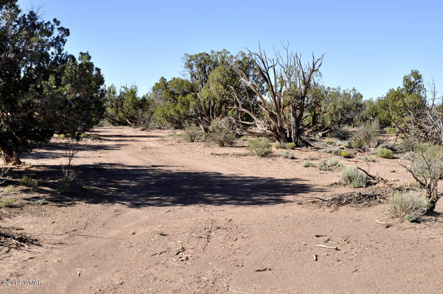 4064 Crazy 8 Road Snowflake, AZ 85937 - Photo 3 of 19 Gallery Image 3