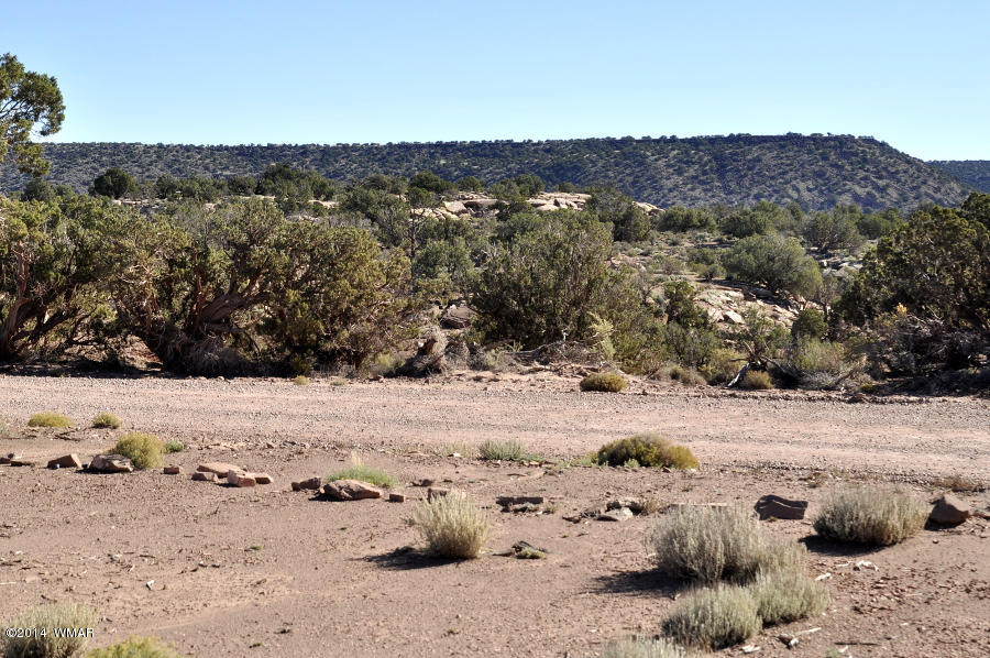 4064 Crazy 8 Road Snowflake, AZ 85937 - Photo 4 of 19 Gallery Image 4