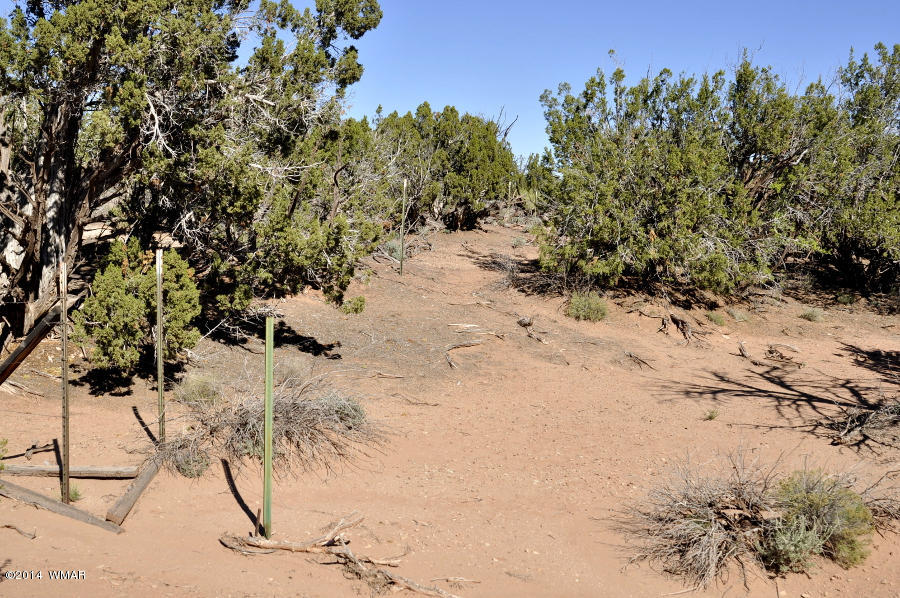 4064 Crazy 8 Road Snowflake, AZ 85937 - Photo 10 of 19 Gallery Image 10