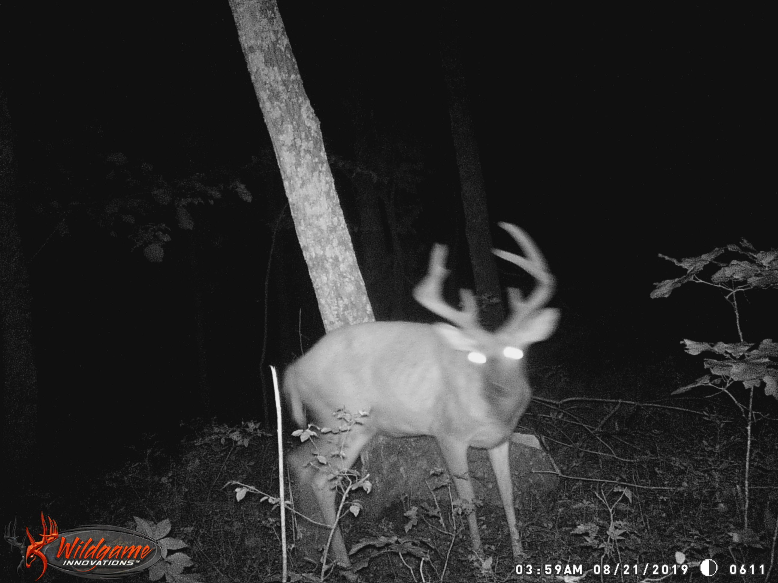 3006 Piney Grove Road Somerset, KY 42501 - Photo 10 of 52 WGI_0611