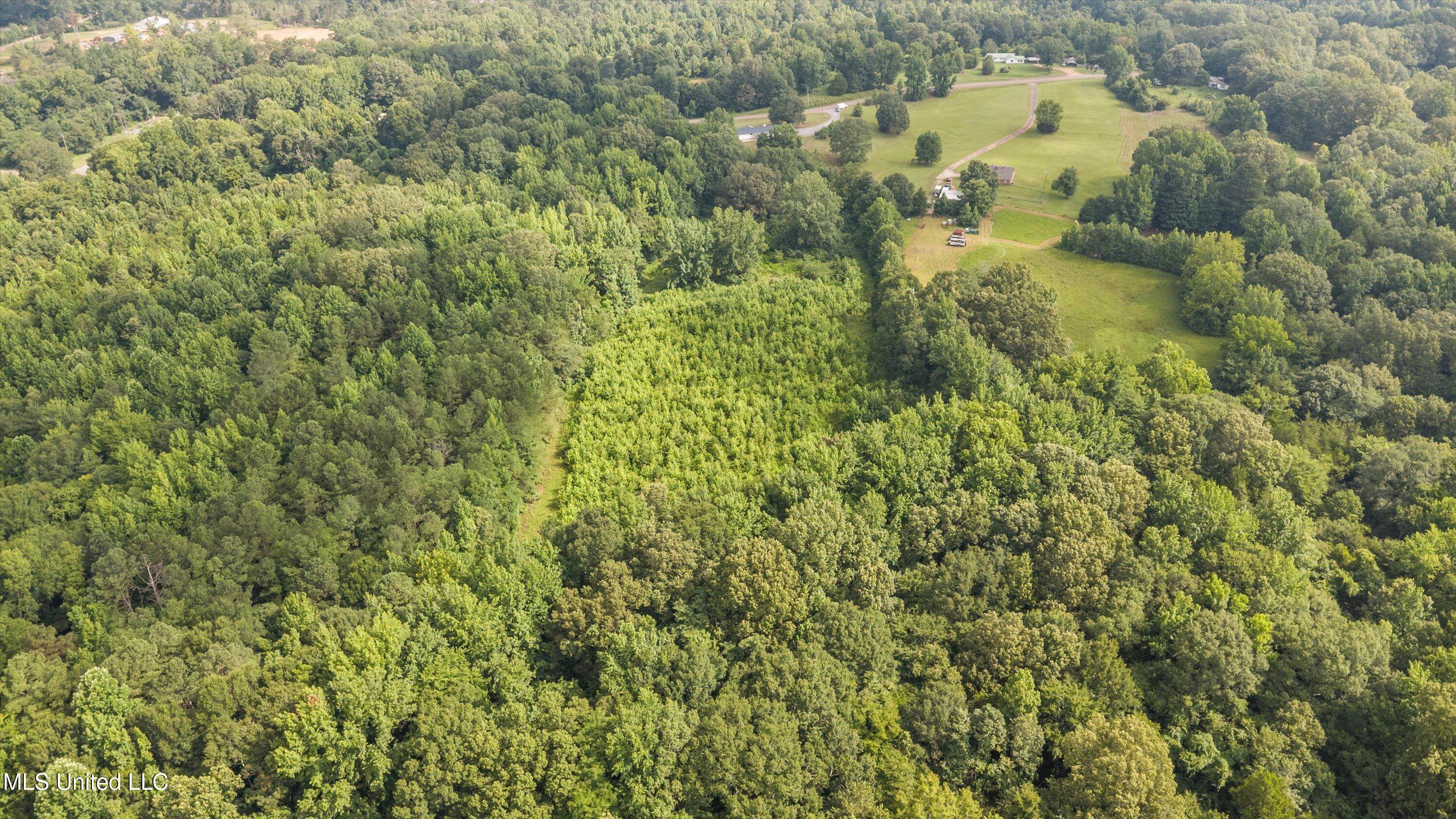 2606 Rifle Range Road Coldwater, MS 38618 - Photo 26 of 28 26-DJI_0009