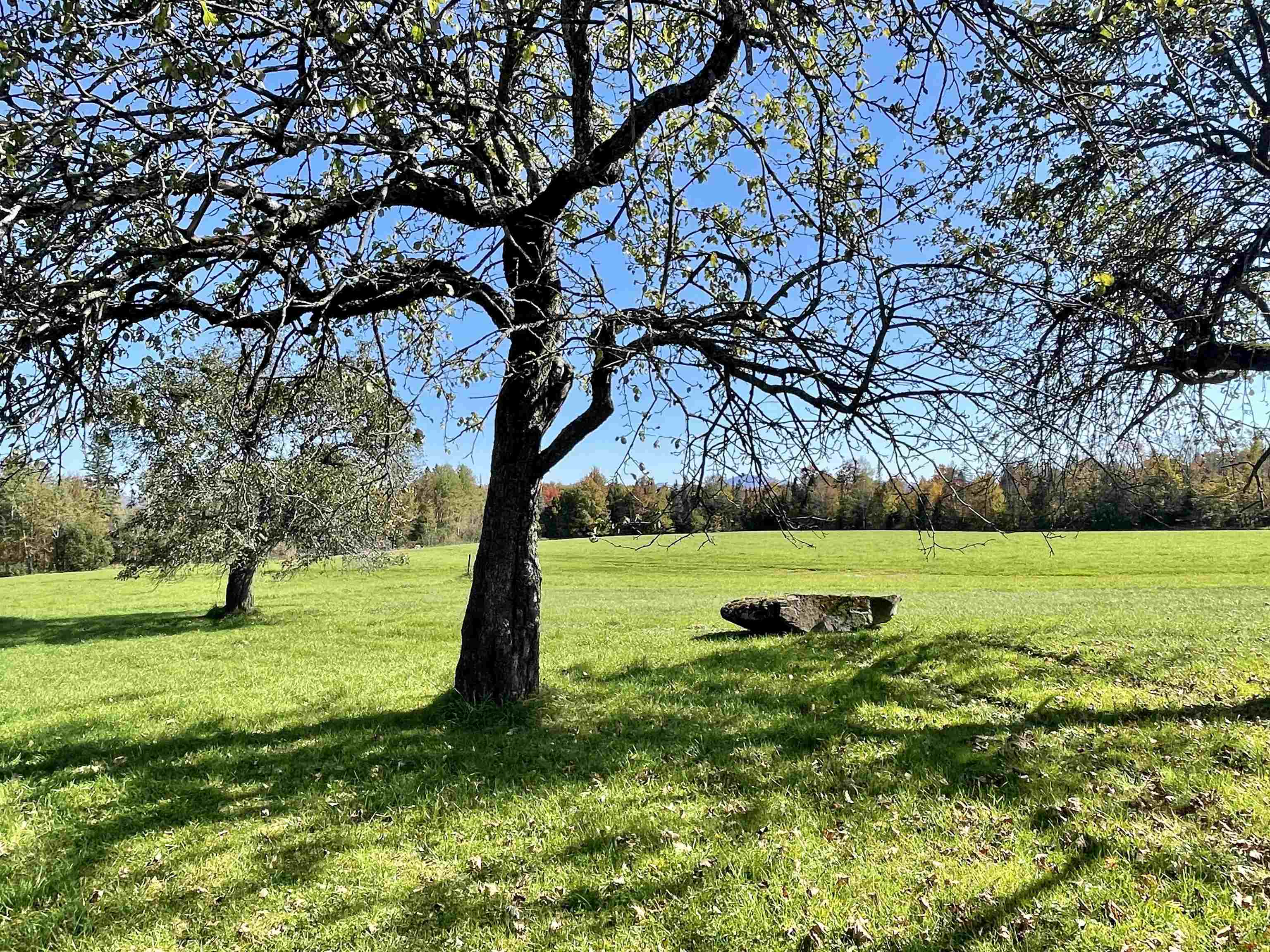 2630 Underpass Road Sutton, VT 05867 - Photo 14 of 16