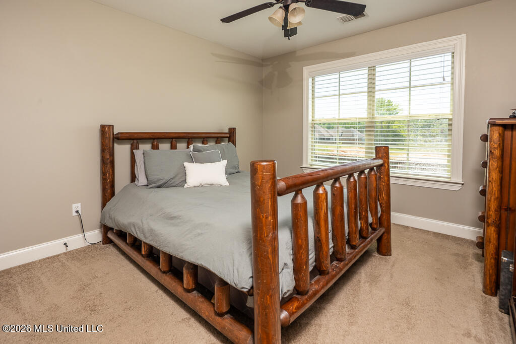 3425 Delaney Drive Nesbit, MS 38651 - Photo 29 of 40 DelaneyDr-49-28