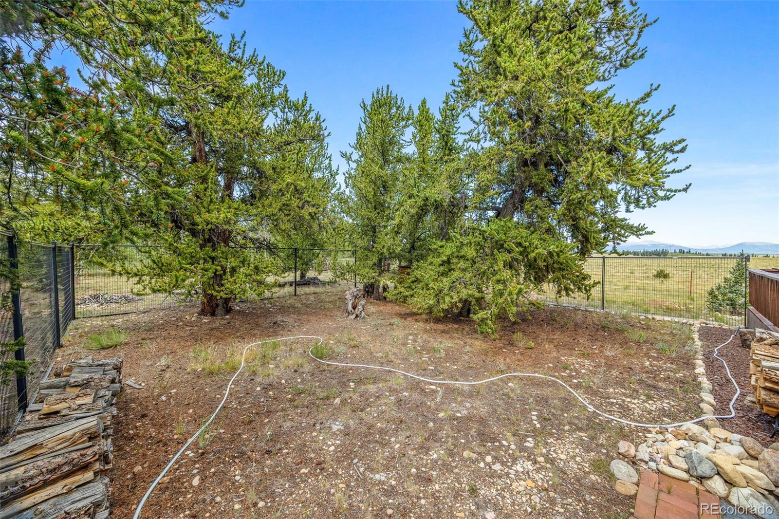 2020 Mullenville Road Fairplay, CO 80440 - Photo 7 of 49 a view of a yard with plants and large trees