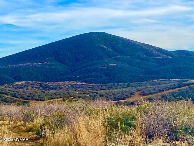 10475 East Prescott Dells Rnch Road Dewey, AZ 86327 - Photo 2 of 11