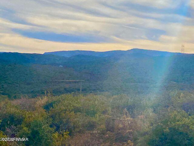 10475 East Prescott Dells Rnch Road Dewey, AZ 86327 - Photo 3 of 11