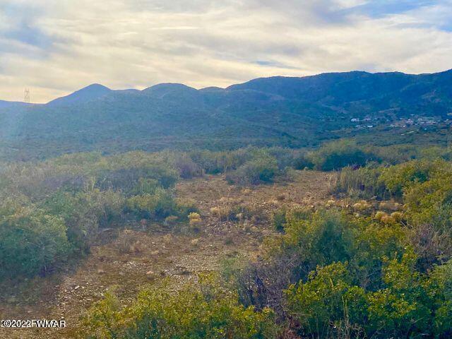 10475 East Prescott Dells Rnch Road Dewey, AZ 86327 - Photo 4 of 11