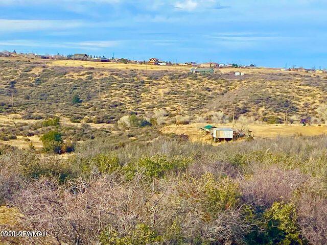 10475 East Prescott Dells Rnch Road Dewey, AZ 86327 - Photo 6 of 11
