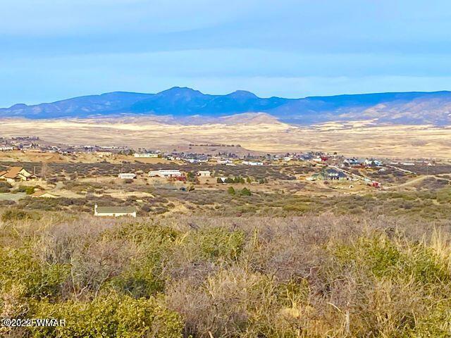 10475 East Prescott Dells Rnch Road Dewey, AZ 86327 - Photo 8 of 11