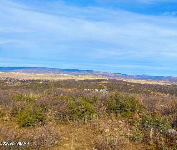 10475 East Prescott Dells Rnch Road Dewey, AZ 86327 - Photo 10 of 11