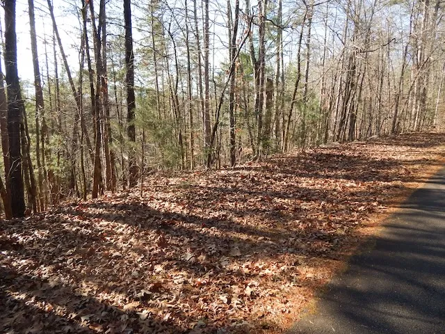 $25,900 | 209 Bay View Drive, Salem, SC 29676