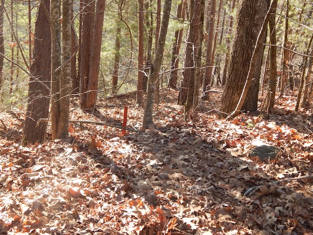 209 Bay View Drive Salem, SC 29676 - Photo 2 of 8