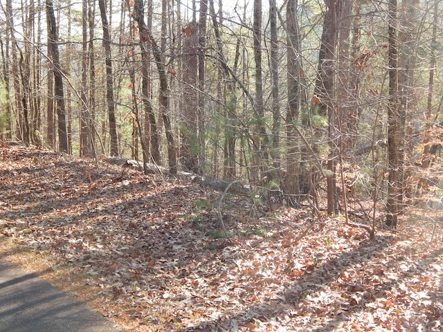 209 Bay View Drive Salem, SC 29676 - Photo 3 of 8