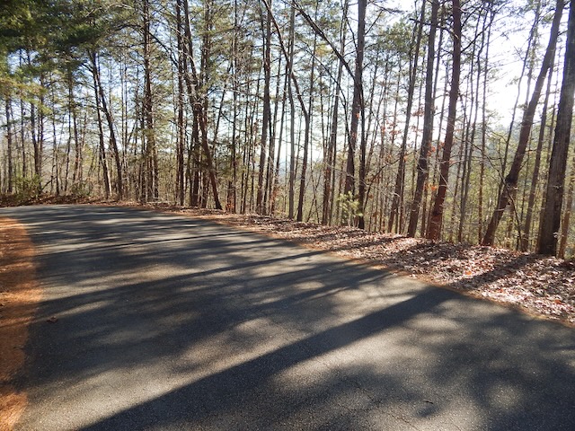 209 Bay View Drive Salem, SC 29676 - Photo 4 of 8