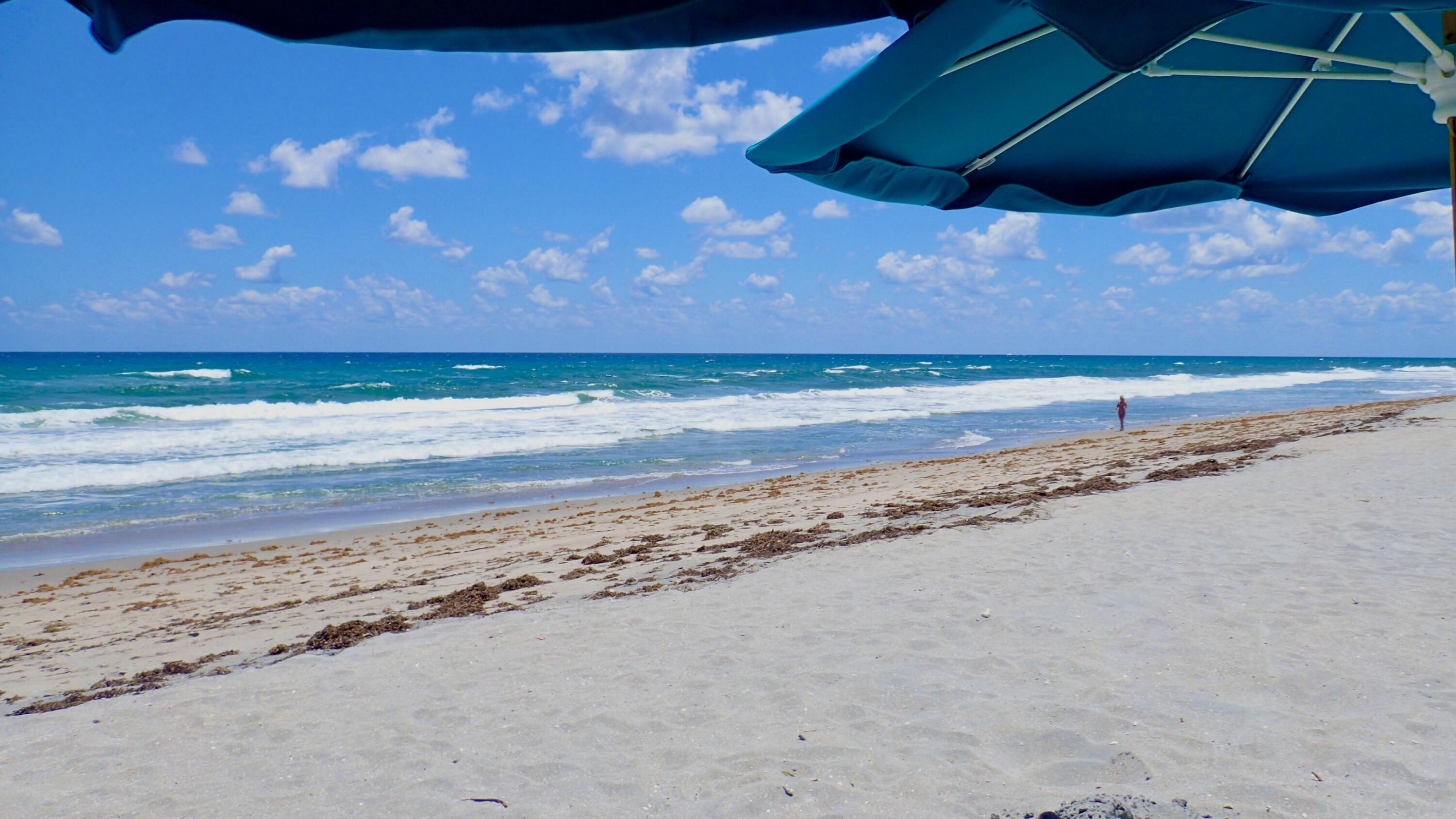 4501 North Ocean Boulevard, Unit TH04 Boca Raton, FL 33431 - Photo 85 of 86 ATTENDED PRIVATE BEACHES