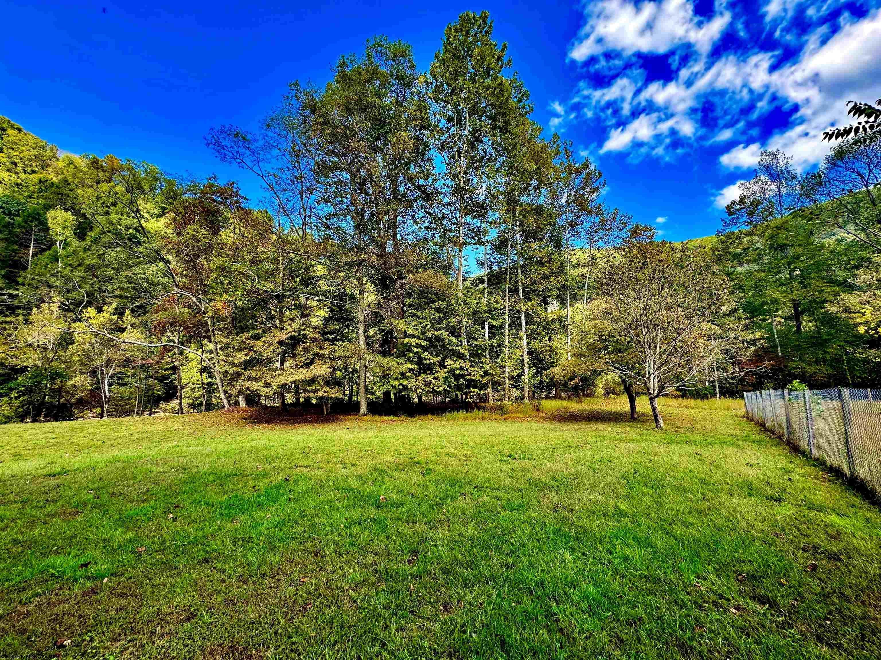 4000 Elk River Road Webster Springs, WV 26288 - Photo 15 of 23 Gallery Image 15
