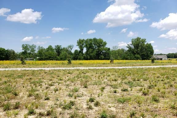 0 Dent Road Sunbury, OH 43074 - Photo 14 of 65 image010