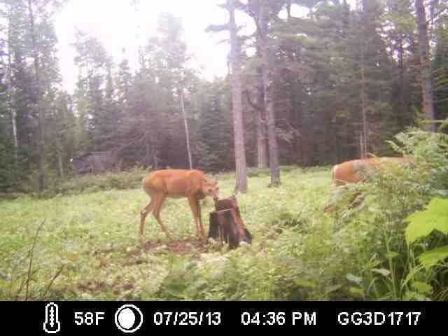 4720 Boyer Road Mercer, WI 54547 - Photo 7 of 20 Gallery Image 7