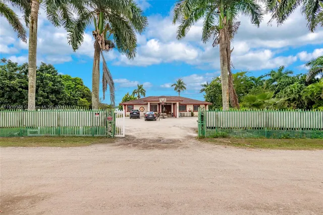 a view of a yard with palm trees
