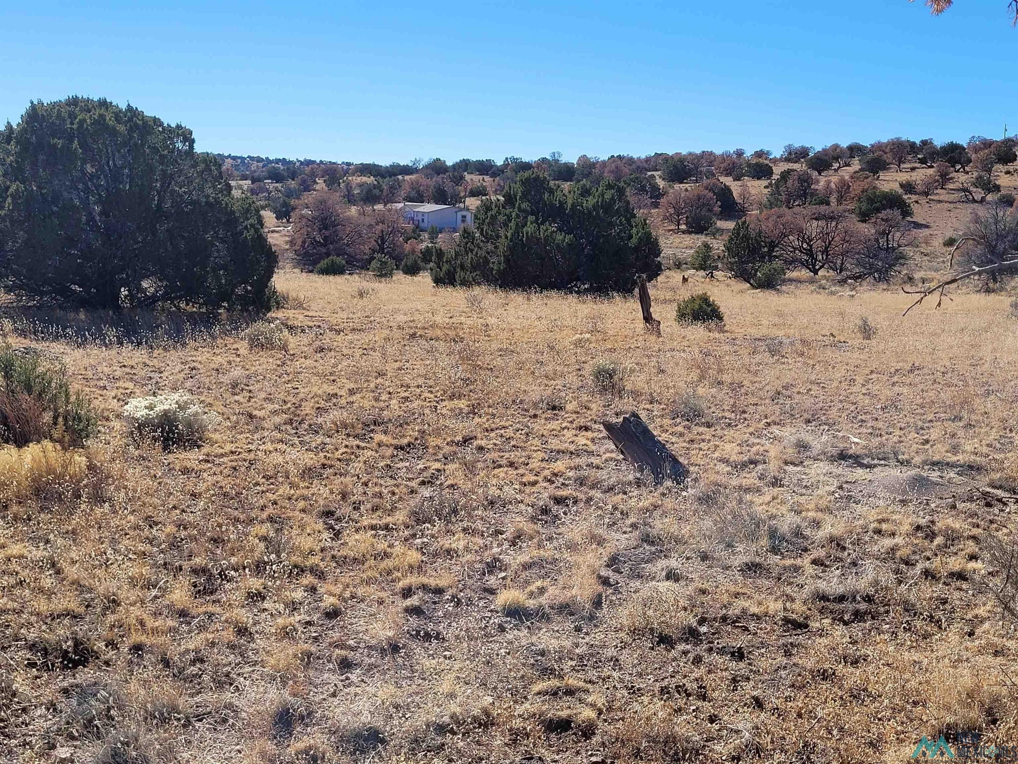 24 Hillside Circle Datil, NM 87821 - Photo 48 of 55 Gallery Image 48