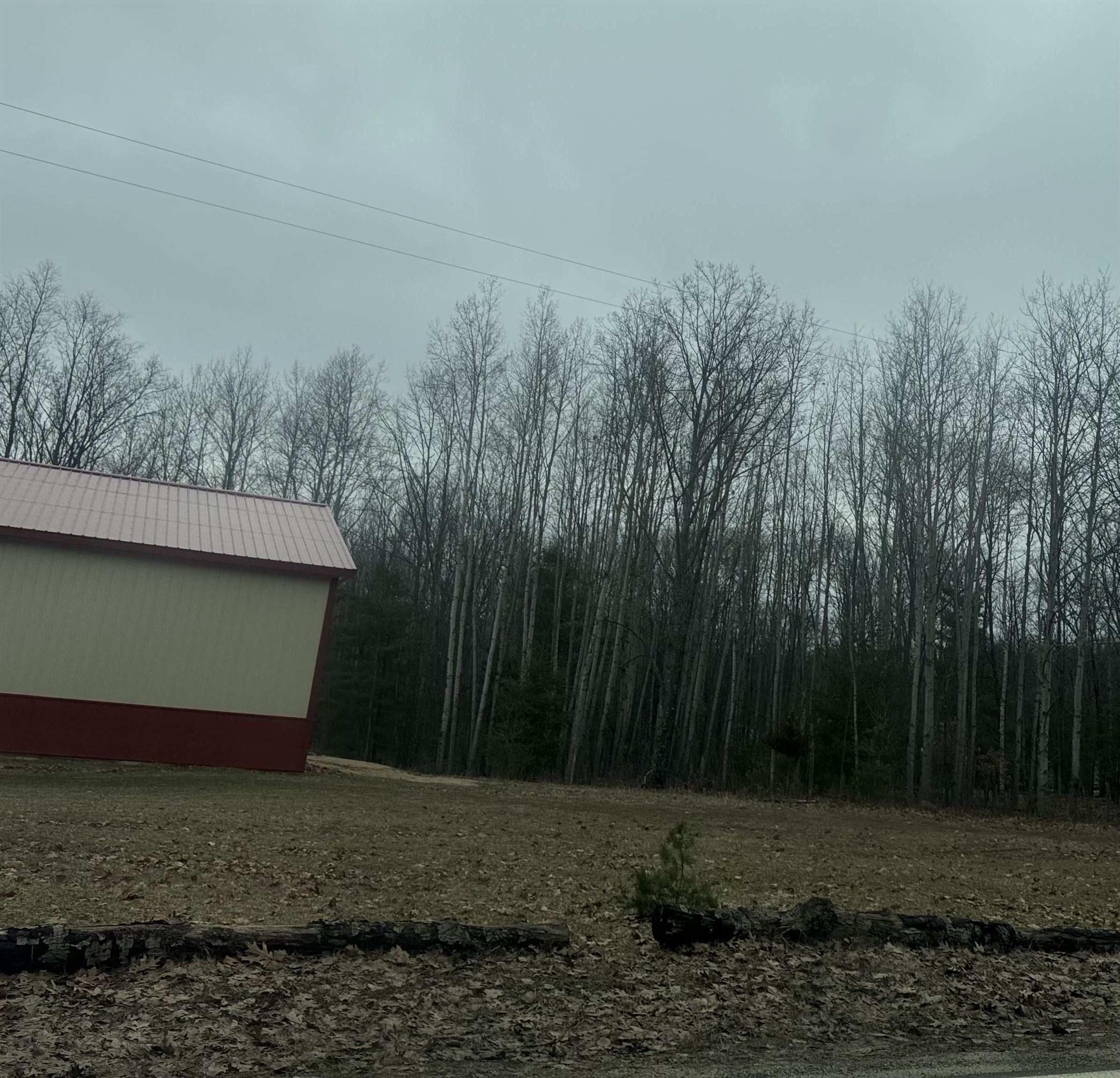 7620 Monroe Road Lake, MI 48632 - Photo 4 of 9