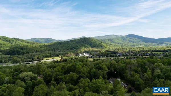 an aerial view of houses covered in trees