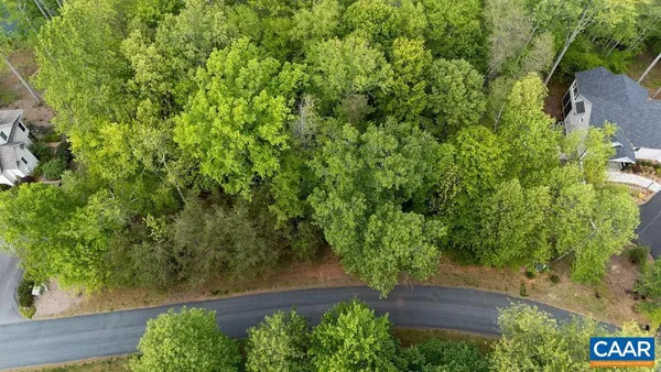 an outdoor space with lots of trees