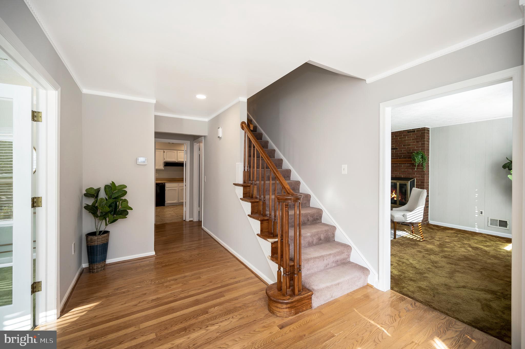 8618 Fort Hunt Road Alexandria, VA 22308 - Photo 24 of 73 Gallery Image 24