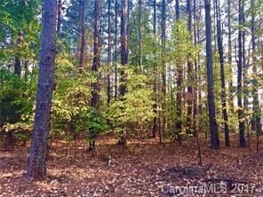 2 Unity Church Road, Unit 2 Denver, NC 28037 - Photo 1 of 4 Gallery Image 1