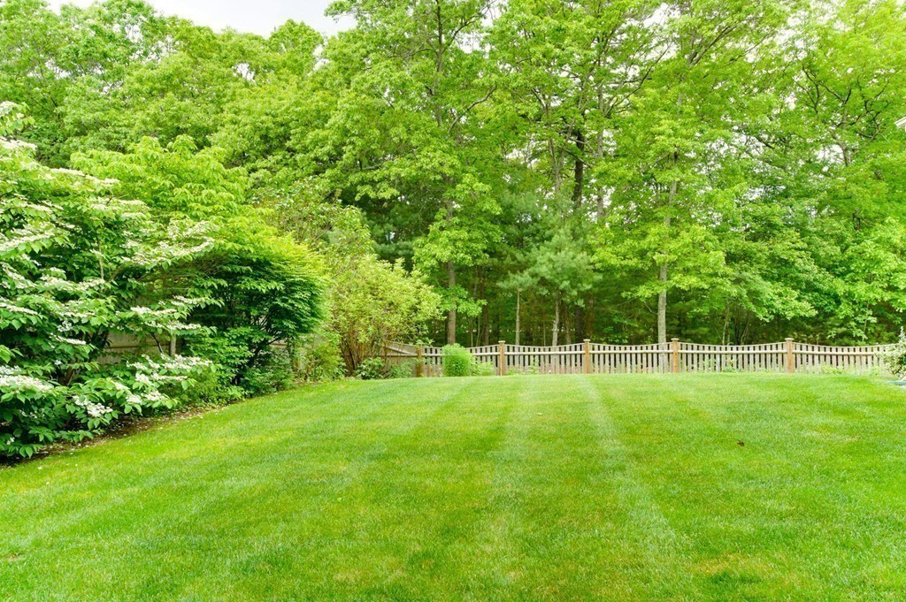 21 Boyden Road Medfield, MA 02052 - Photo 22 of 22 Gallery Image 22