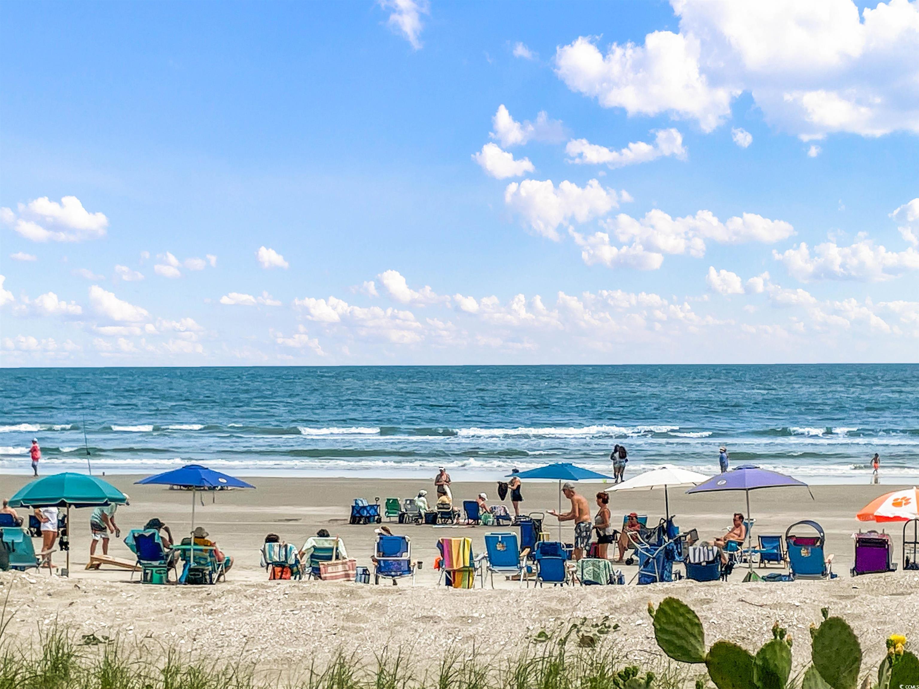 780 Charter Drive, Unit B10 Longs, SC 29568 - Photo 23 of 30