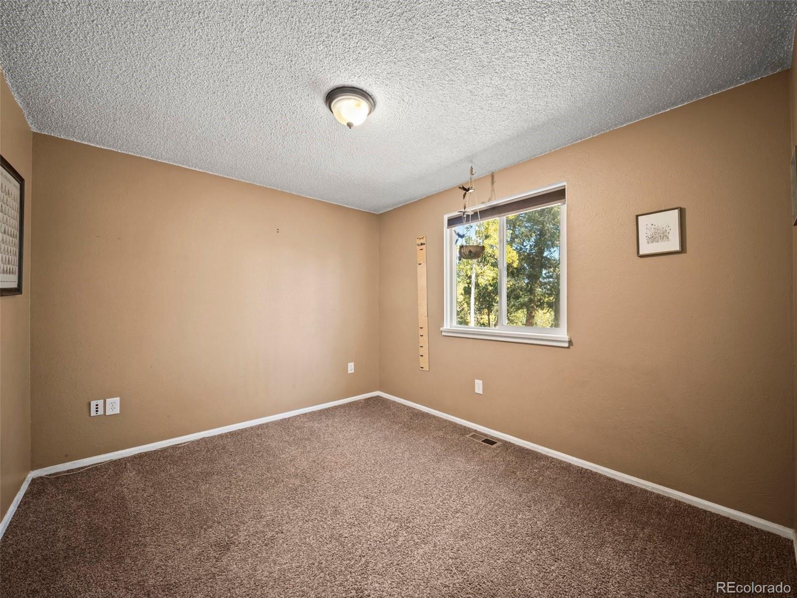 196 Beaver Trail Bailey, CO 80421 - Photo 33 of 50 Gallery Image 33